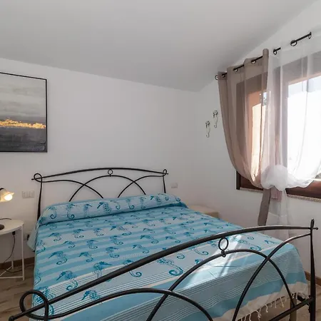 Aloe 2 帕拉迪索海岸